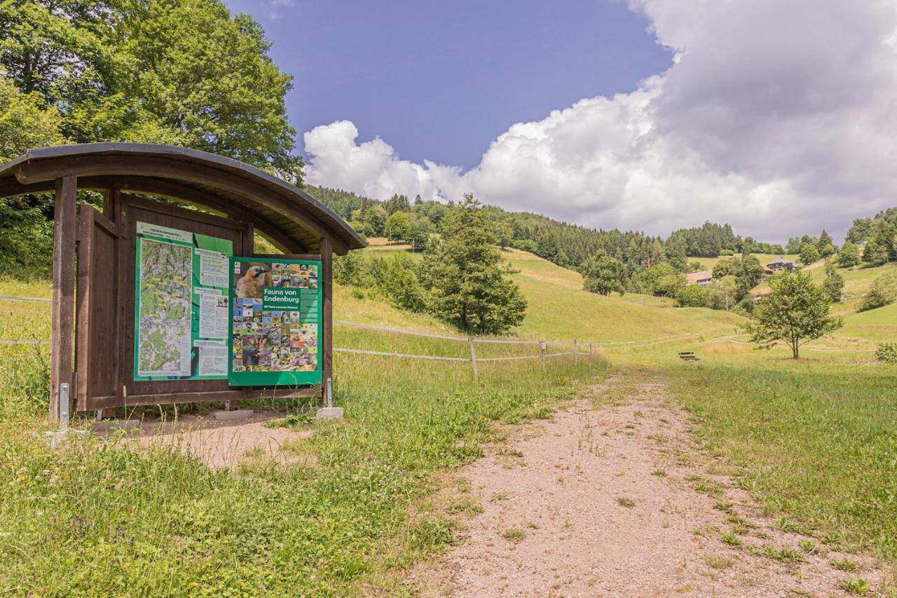 Boutique Wellnesshotel Landmann Steinen  Esterno foto